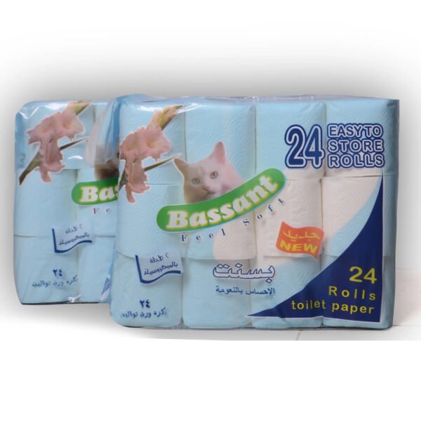 مناديــل تواليت